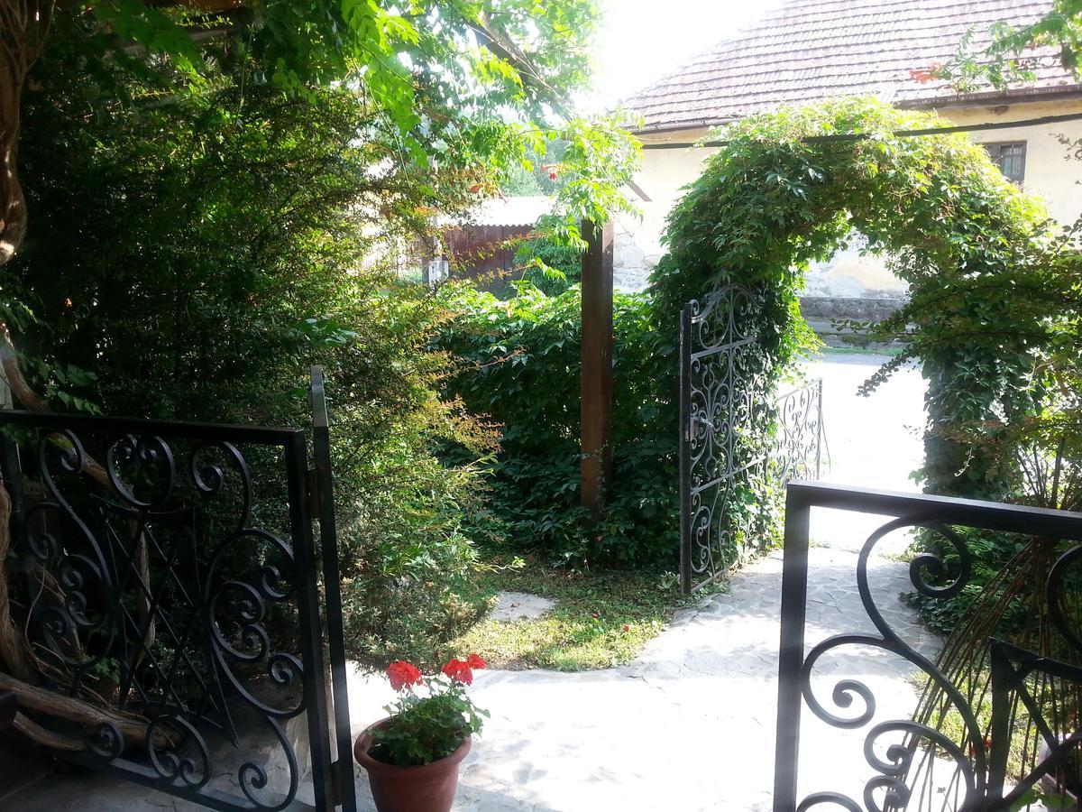 Bed and Breakfast Felso Fogado Felsőtold Zewnętrze zdjęcie