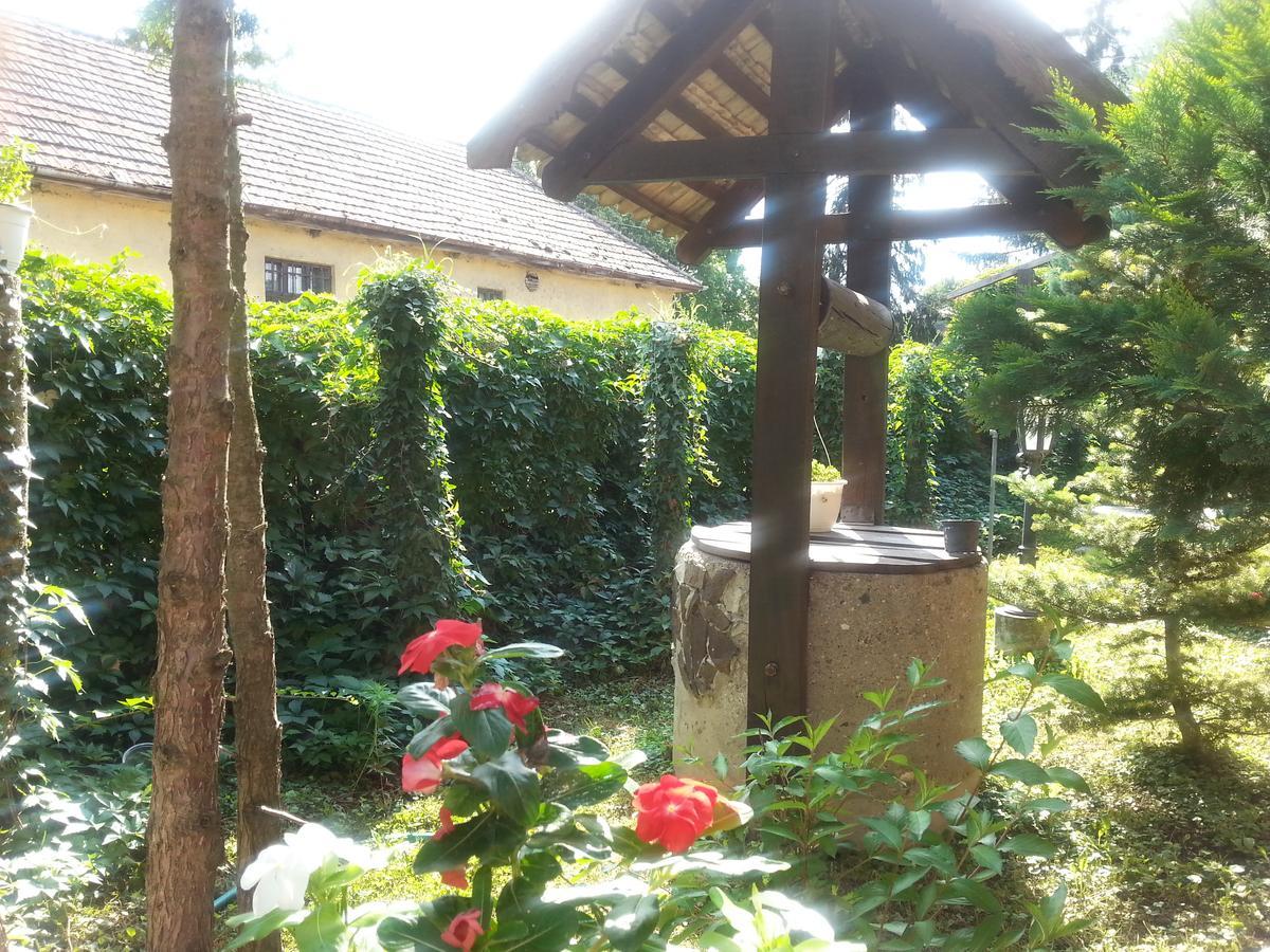 Bed and Breakfast Felso Fogado Felsőtold Zewnętrze zdjęcie