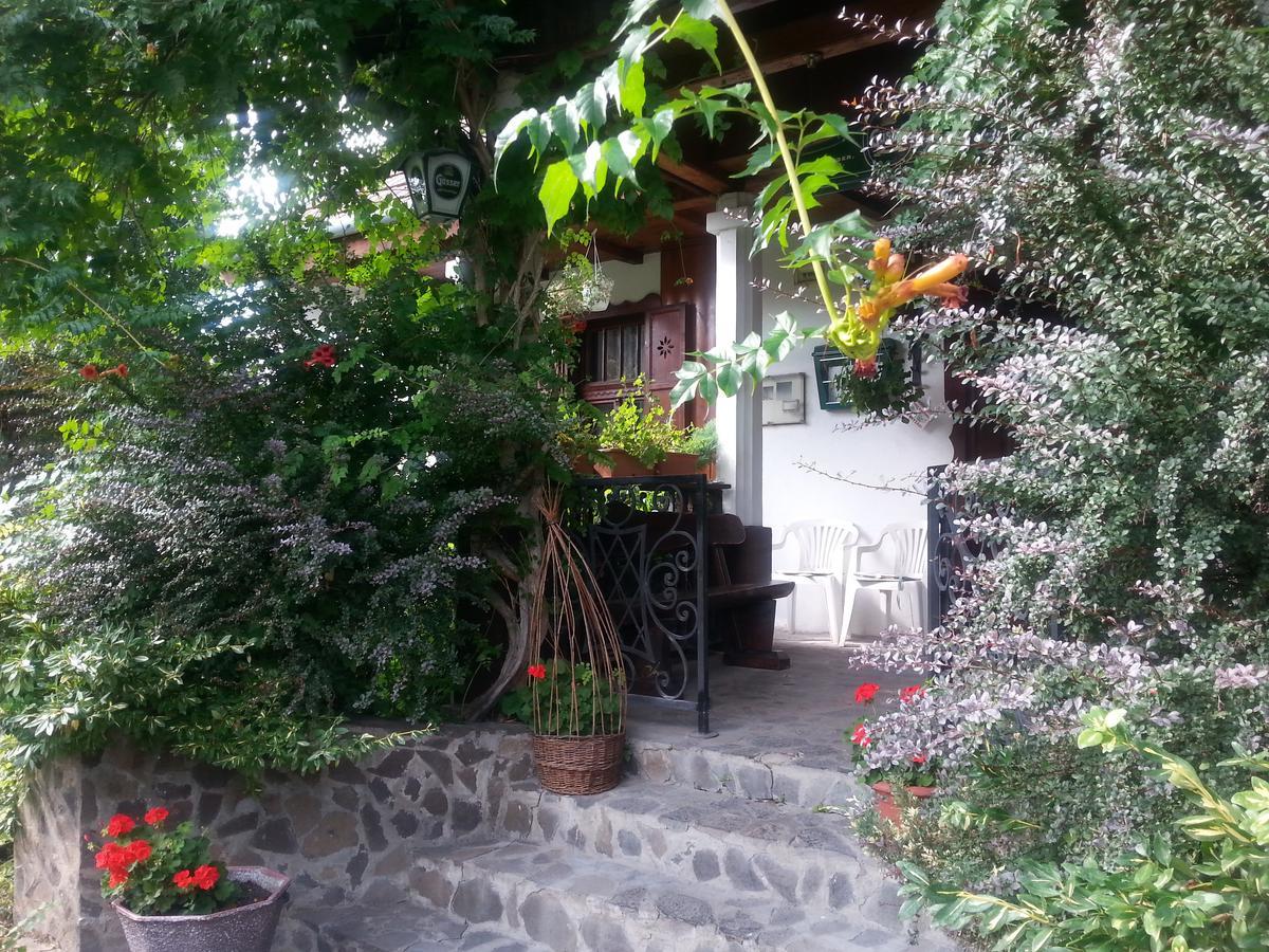 Bed and Breakfast Felso Fogado Felsőtold Zewnętrze zdjęcie
